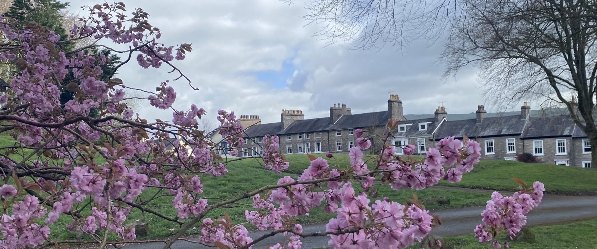 View across Fellside in Kendal
